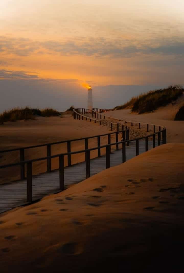 Chemin traversant les dunes pour Leslie Braga sophrothérapeure